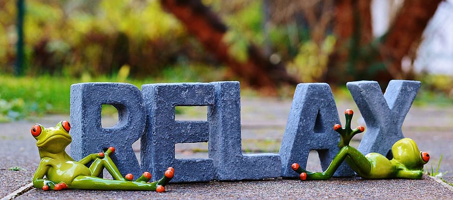 blue Relax free standing decor, frogs, rest, concerns, recovery HD wallpaper