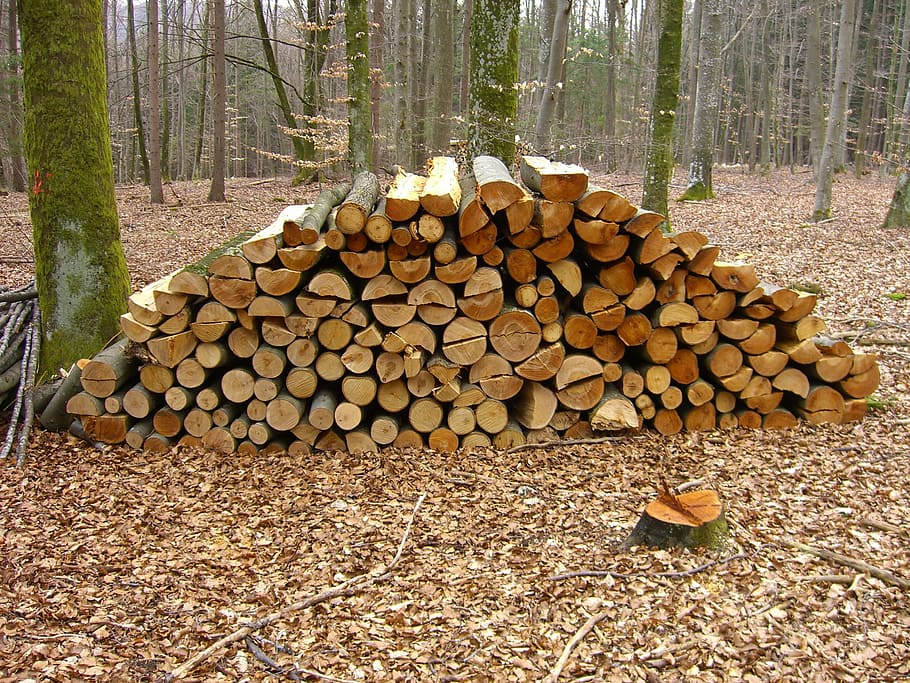 wood, forest, holzstapel, sawn, split, stack, firewood, tree, HD wallpaper