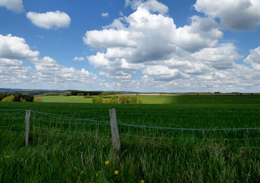 clouds, cloudy sky, landscape, fence, pasture, nature, rural Scene HD wallpaper
