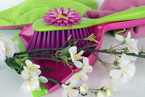 white petaled flowers on top of table, clean, spring putz, blade HD wallpaper