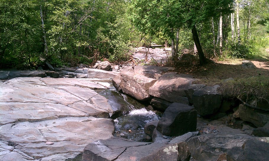 Stream, Rock, Water, Stone, Forest, natural, scenery, foliage HD wallpaper