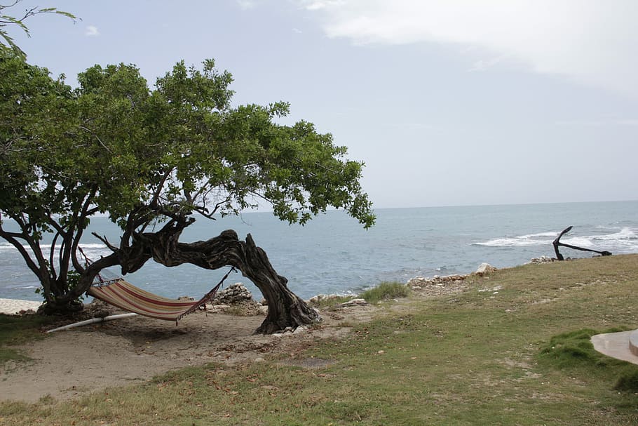 brown hammock hanging on trees near seashore during daytime, brown and red hammock hanged on tree near sea under cloudy skies HD wallpaper