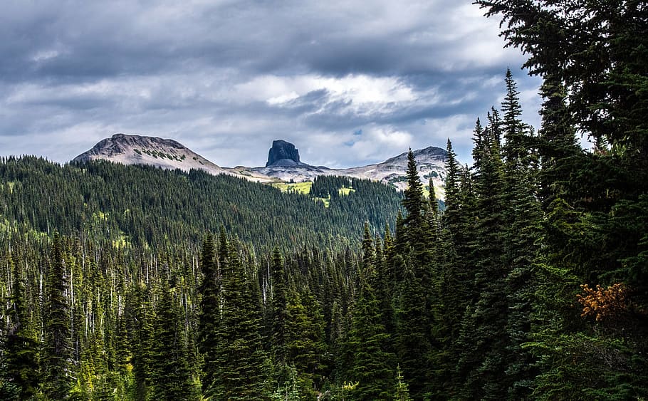 mountain, snow, trees, scenic, nature, landscape, vista, clouds HD wallpaper
