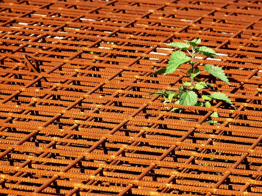 rust, rusty, metal, framework, nettle, plant, green, pattern HD wallpaper