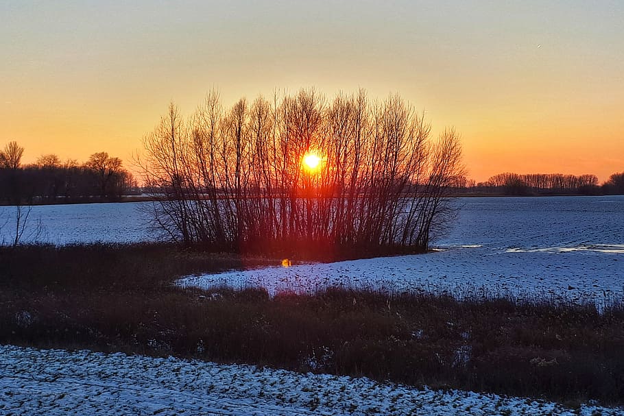 dawn, sunset, water, reflection, lake, winter, frozen, outdoors HD wallpaper
