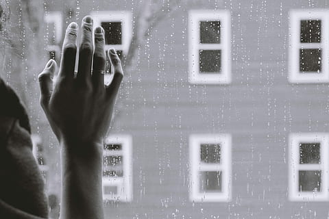 grayscale photo of woman right hand on glass, grayscale photo of person looking out the window HD wallpaper