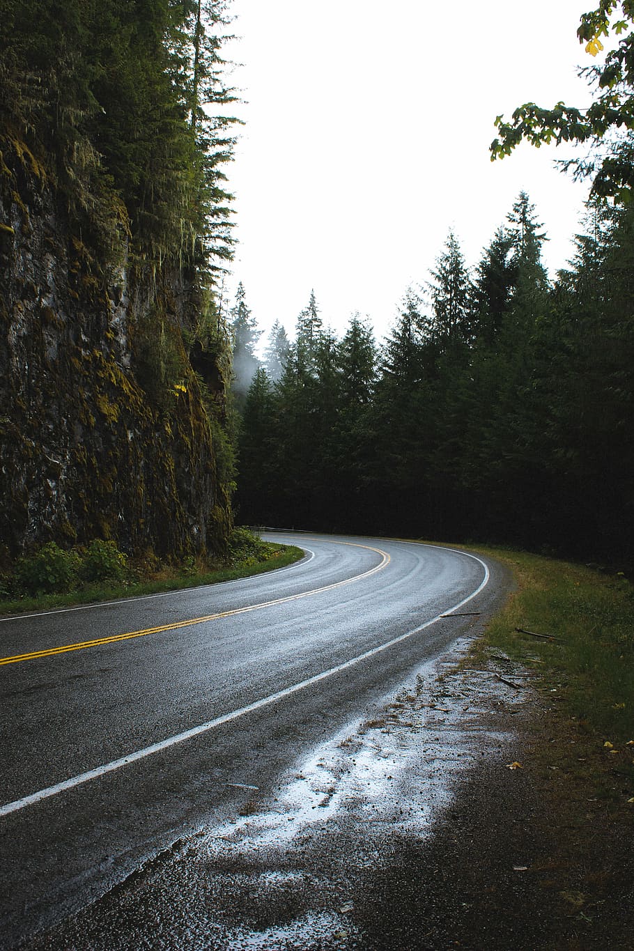 curved asphalt road between rock wall and trees, black concrete road between green high trees under white sky at daytime HD wallpaper