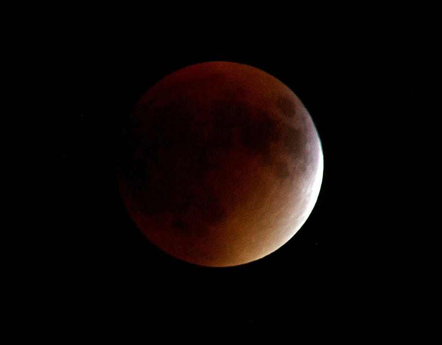 red moon, eclipse, space, astronomy, sky, night, beauty in nature HD wallpaper