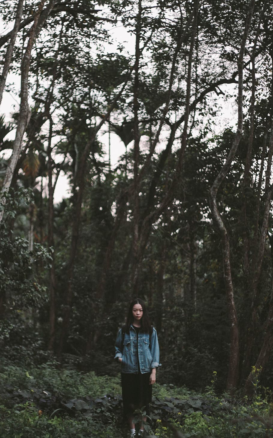 woman standing in the woods during daytime, people, girl, alone