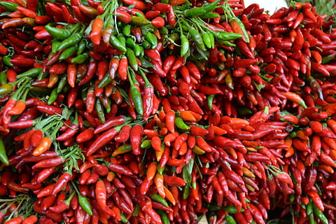 Chilli, Edible, Pods, Food, Paprika, red, piquant, eat, pepper HD wallpaper