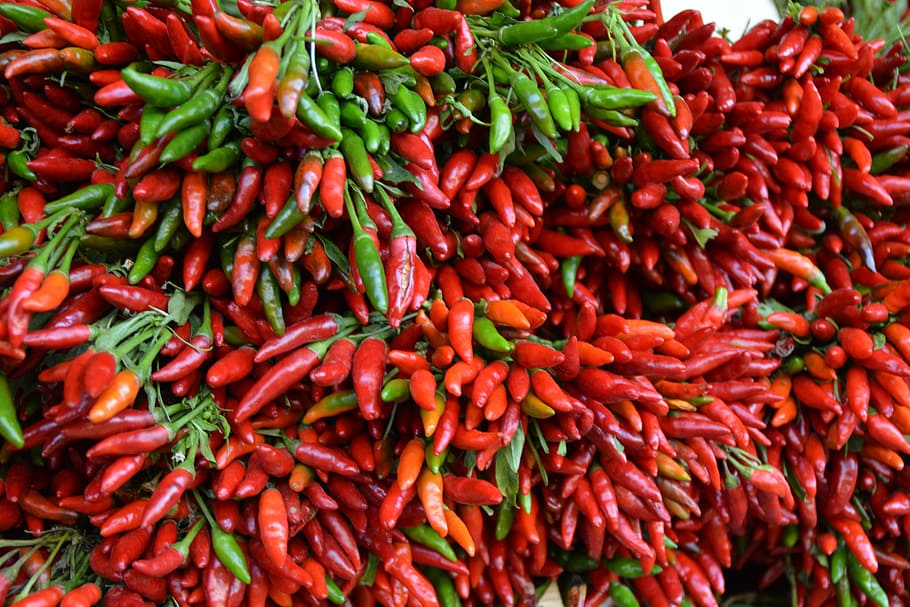 Chilli, Edible, Pods, Food, Paprika, red, piquant, eat, pepper HD wallpaper