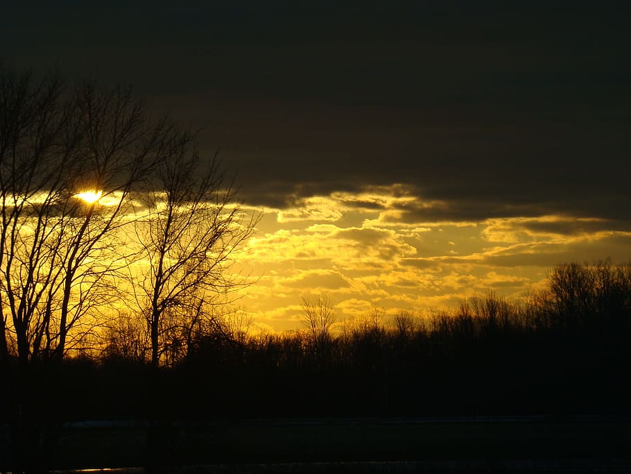 sunset, tree, removal, autumn, contrast, cloud, canada, landscape HD wallpaper