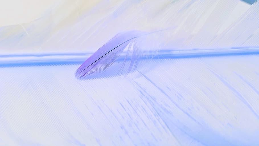 cold, abstract, blur, nature, panoramic, indoors, no people HD wallpaper