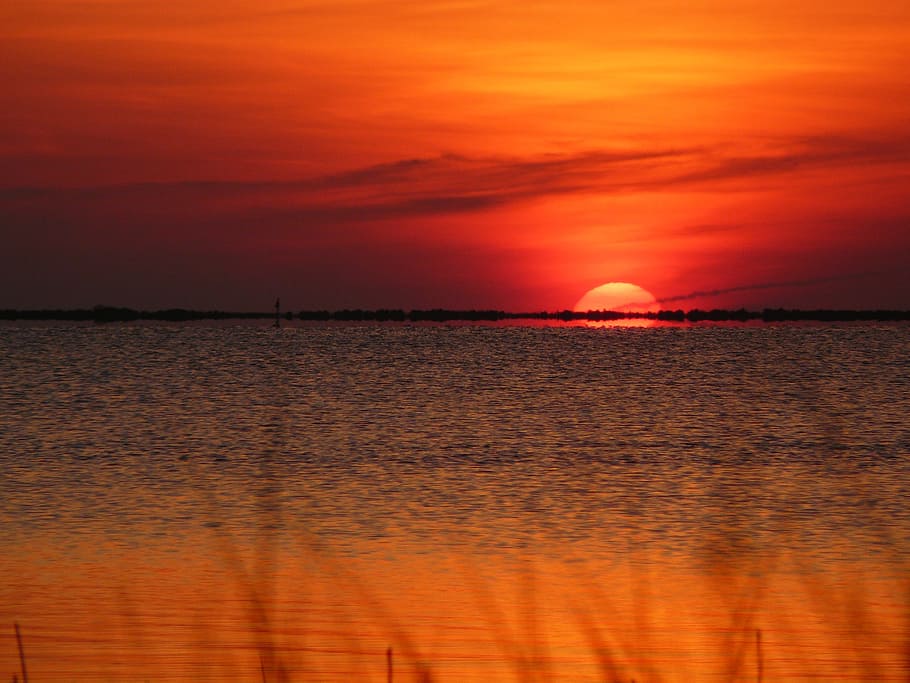 sunset, sunrise, beach, ocean, grass, sky, nature, summer, light HD wallpaper