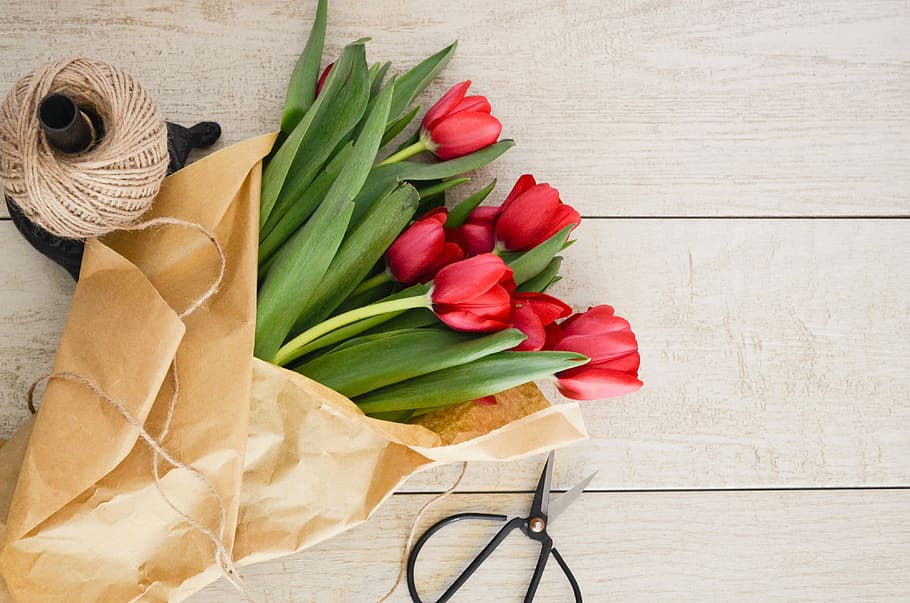 red tulip flowers bouquet on brown wooden pallet, bouquet of red tulips HD wallpaper