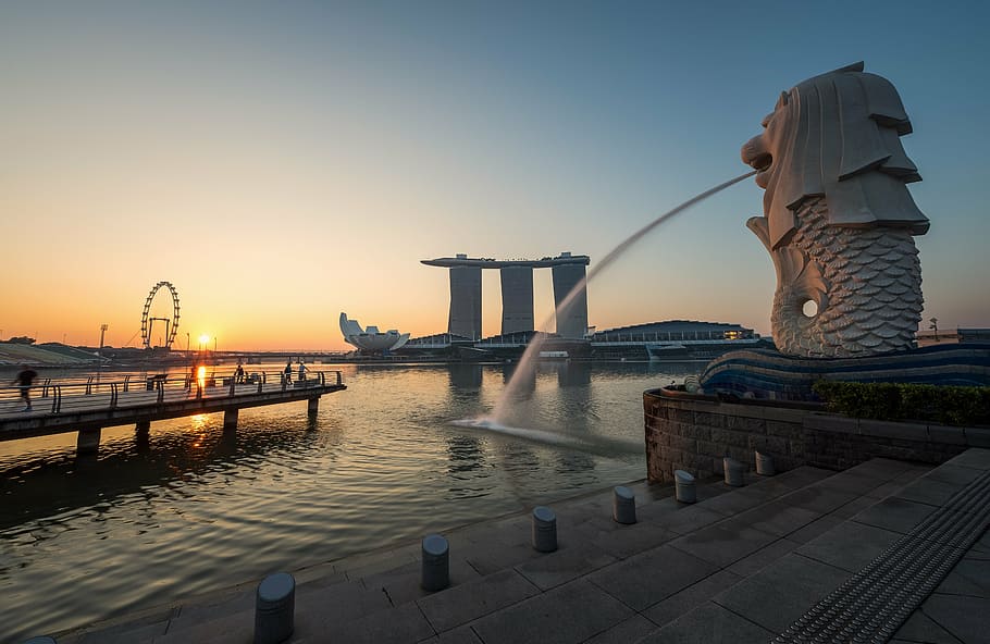 Merlion Park, Singapore, asia, sea lion, core zone, the business, HD wallpaper