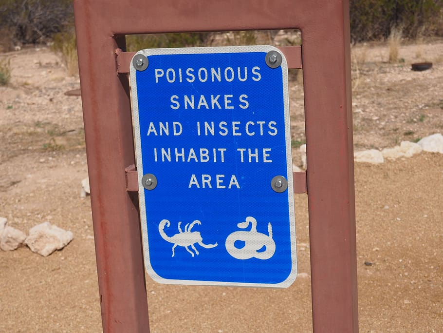 warning sign, poisonous snake, danger, reptile, blue, disabled sign, HD wallpaper