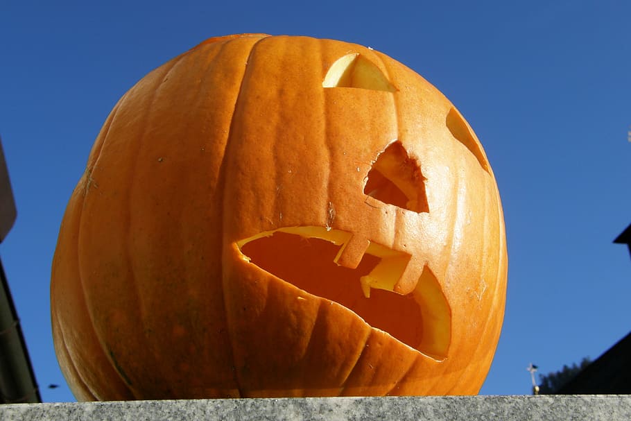 pumpkin, halloween, light, customs, october, children, trick or treat HD wallpaper