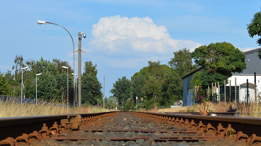 train, rails, railroad tracks, sky, rail transportation, tree HD wallpaper