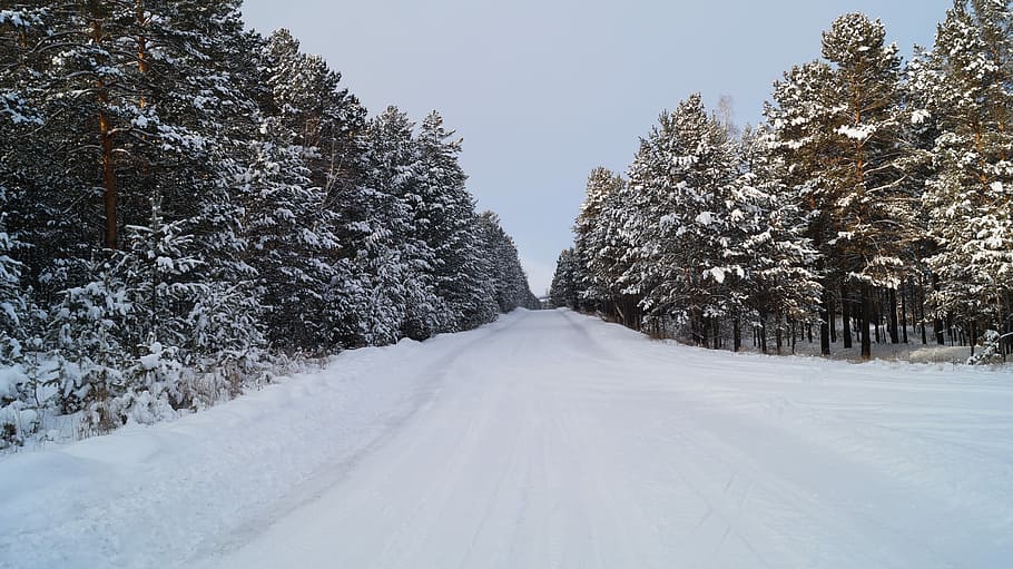 Landscape, Winter, Road, winter landscape, snow, cold temperature HD wallpaper