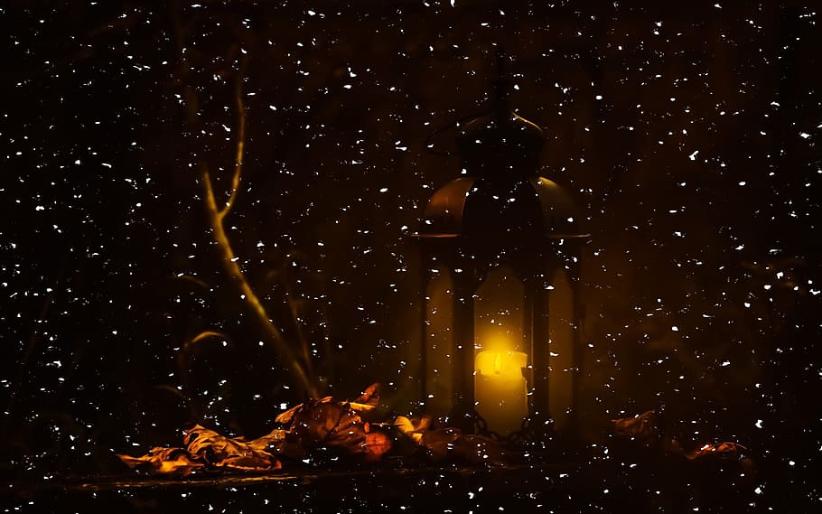lantern, night, forest, snow, spooky, illuminated, no people HD wallpaper