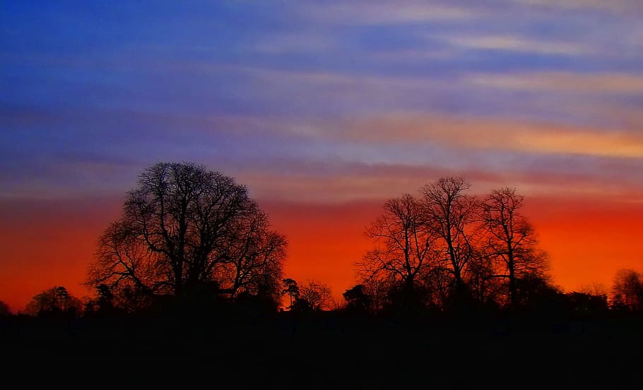 silhouette under cloudy sky, sunset, nature, forest, orange HD wallpaper