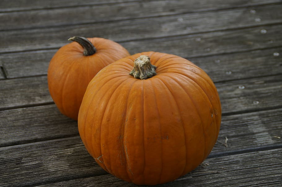 pumpkin, pumpkins, orange, bright, autumn, autumn decoration HD wallpaper