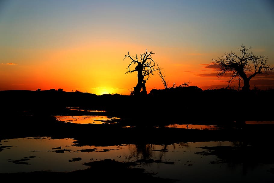 sun, sunset, at dusk, sky, orange color, silhouette, water HD wallpaper