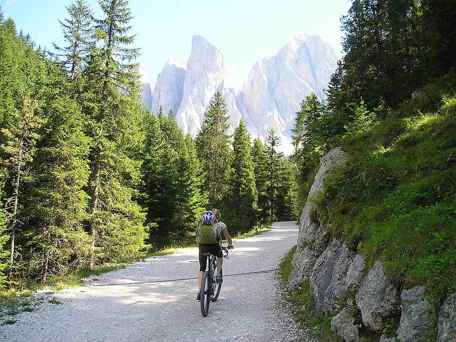 man riding on bike on road surrounded by treest, mountain bike