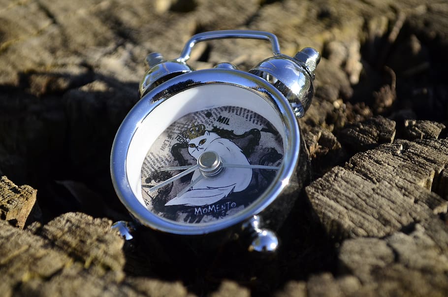 clock, alarm clock, dial, time, closeup, accuracy, morning HD wallpaper