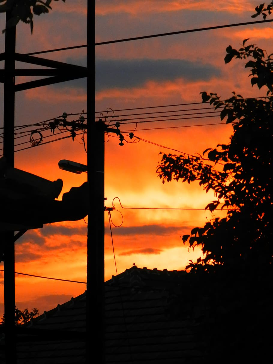 sky, sunset, color, orange, wood, silhouette, orange color HD wallpaper