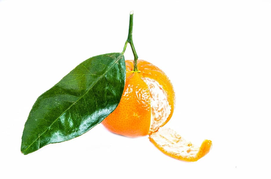 Mandarin, White, Leaf, Close-Up, green, isolated, tangerine HD wallpaper