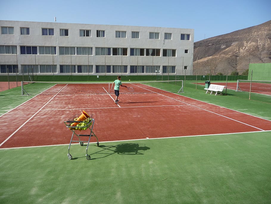 tennis, training, tennis court, tennis player, sport, exercise, HD wallpaper
