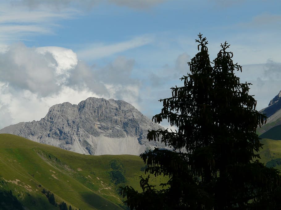 panorama, alpine, mountains, tree, fir, alpenpanorma, meadow HD wallpaper