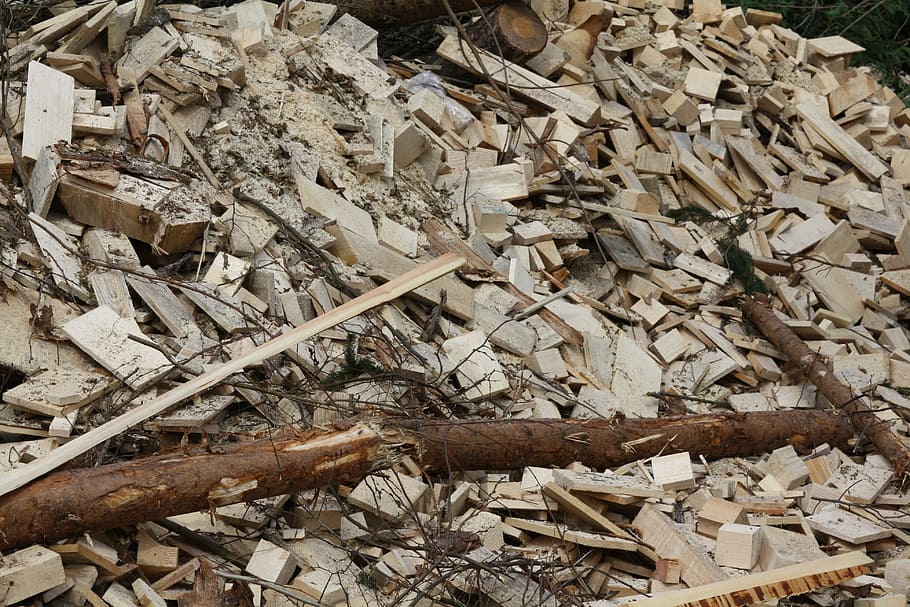 wood, biomass, trunks, large group of objects, abundance, no people HD wallpaper