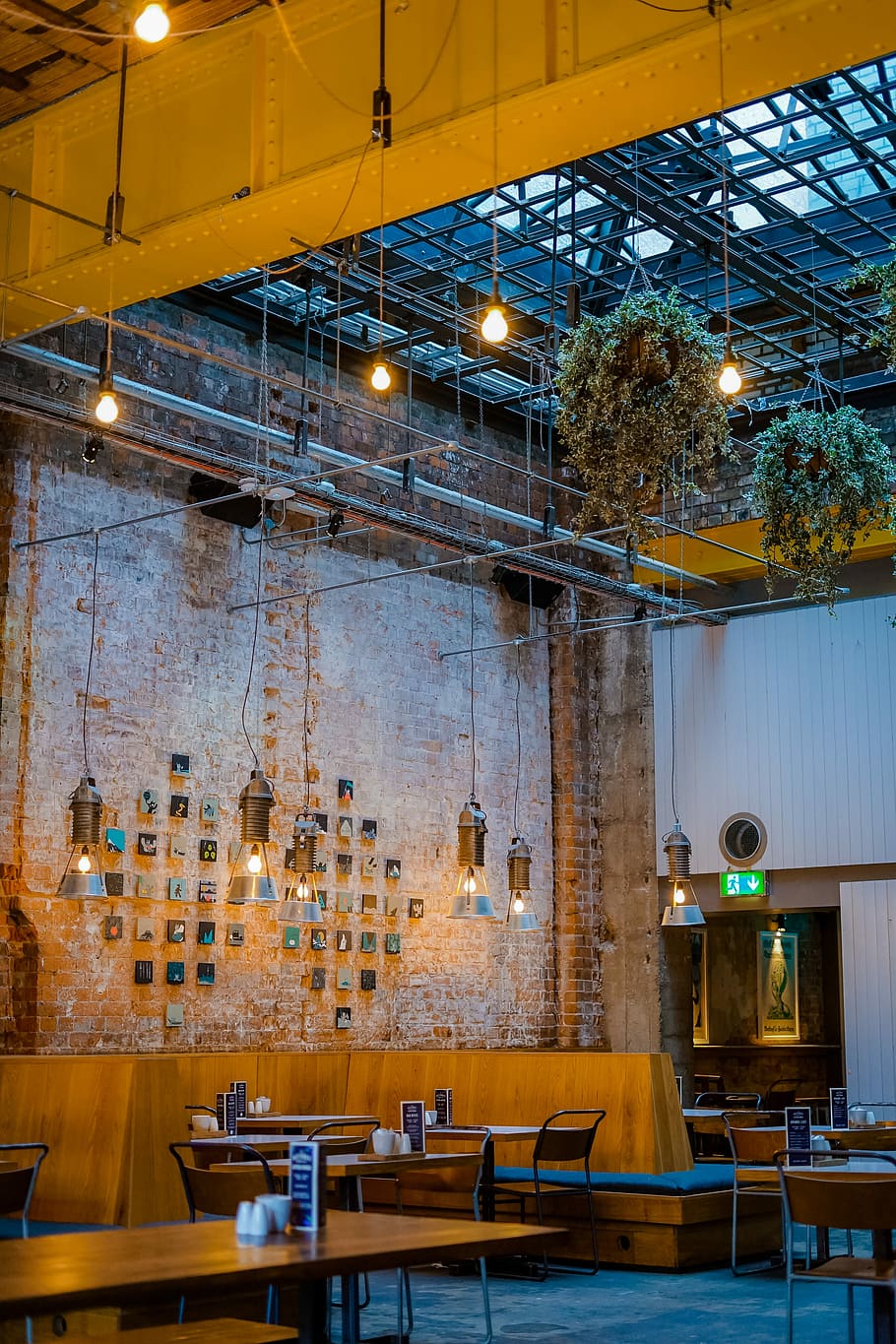 hanging vine plants over dining tables, hanging lamp above table inside building HD wallpaper