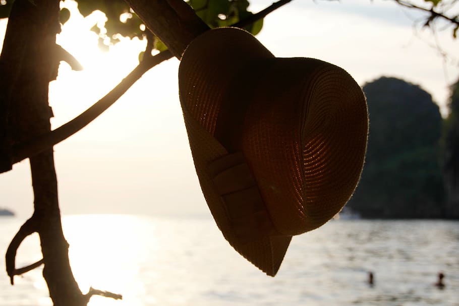 sun, hat, tree, holiday, summer, holidays, beach, nature, cuban HD wallpaper