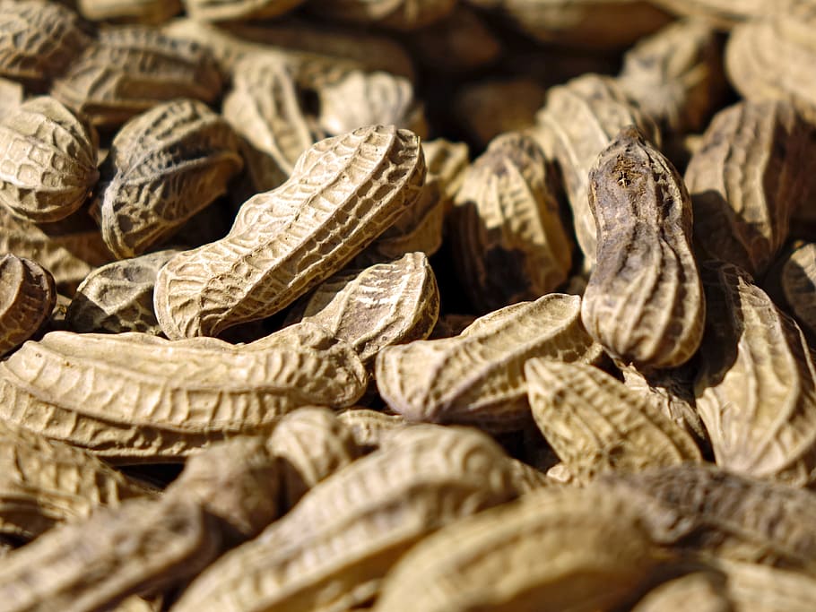 Peanuts, Snack, Crack, Shell, Food, brown, dry, close-up, backgrounds HD wallpaper
