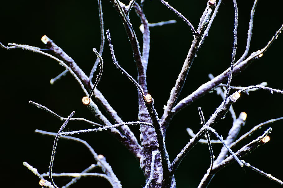 tree, aesthetic, winter, snow, lighting, deco, branches, nature HD wallpaper