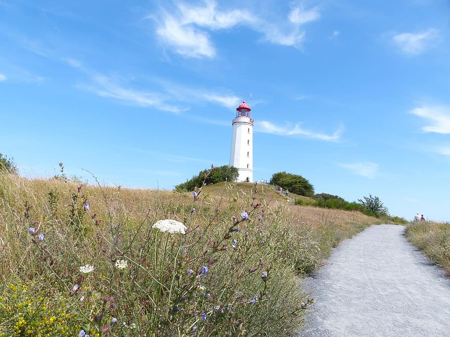 hiddensee, lighthouse, summer, baltic sea, guidance, plant HD wallpaper