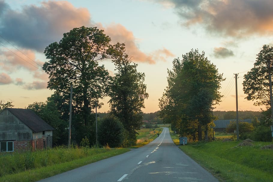 Road, Tree, Landscape, nature, rural Scene, outdoors, sky, scenics HD wallpaper