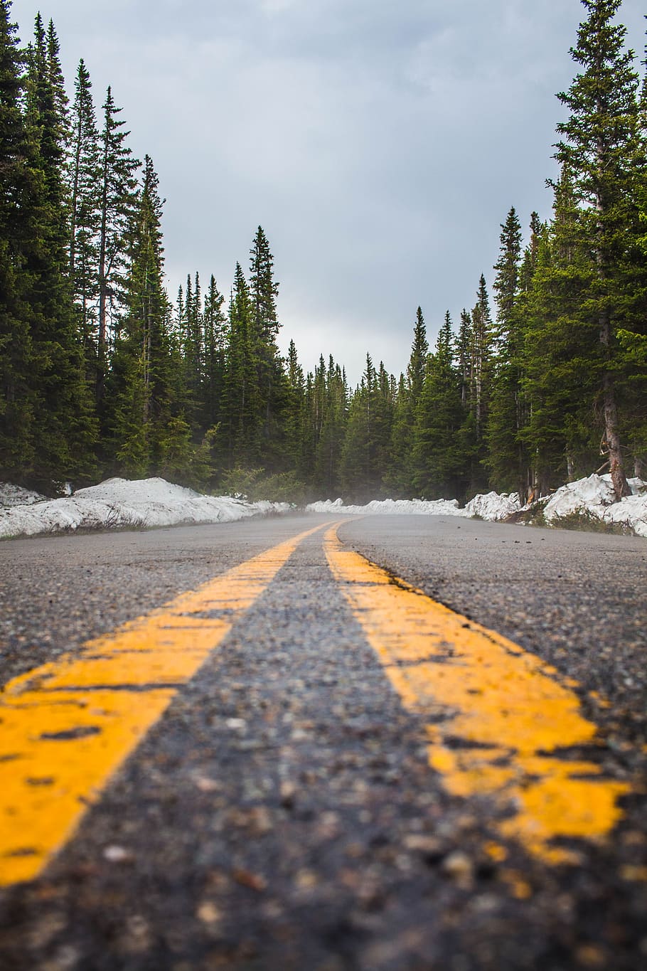 asphalt road with no overtaking line, cold, nature, perspective HD wallpaper