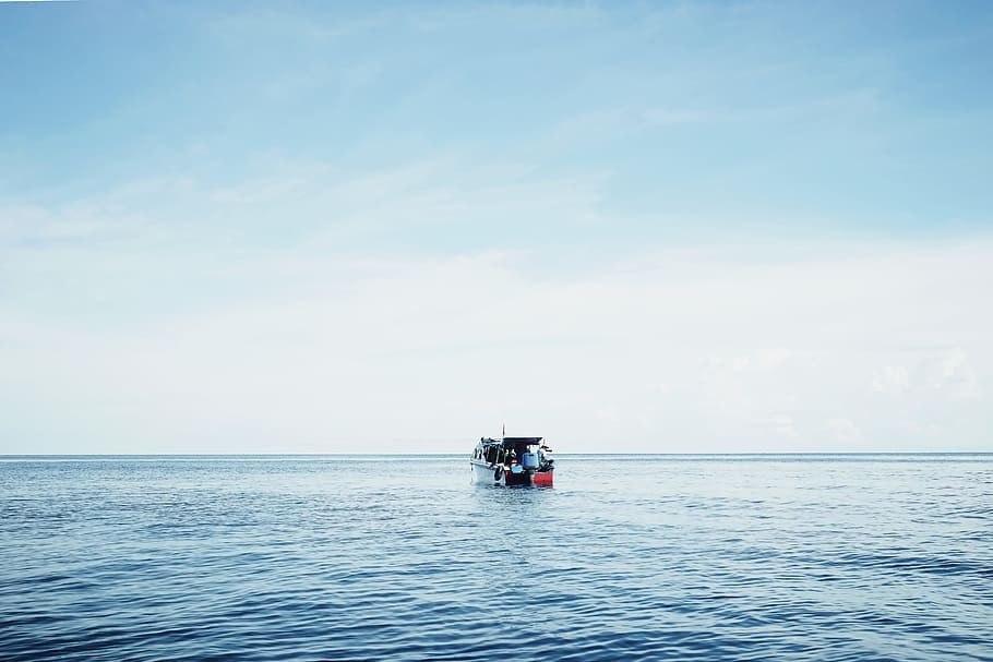 white and orange pontoon boat, fishing boat on sea during daytime HD wallpaper