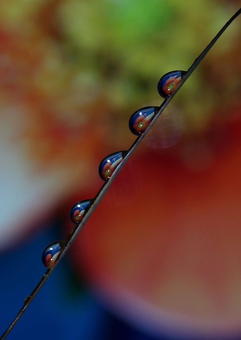 drops, macro, reflection, water, close-up, no people, focus on foreground HD wallpaper