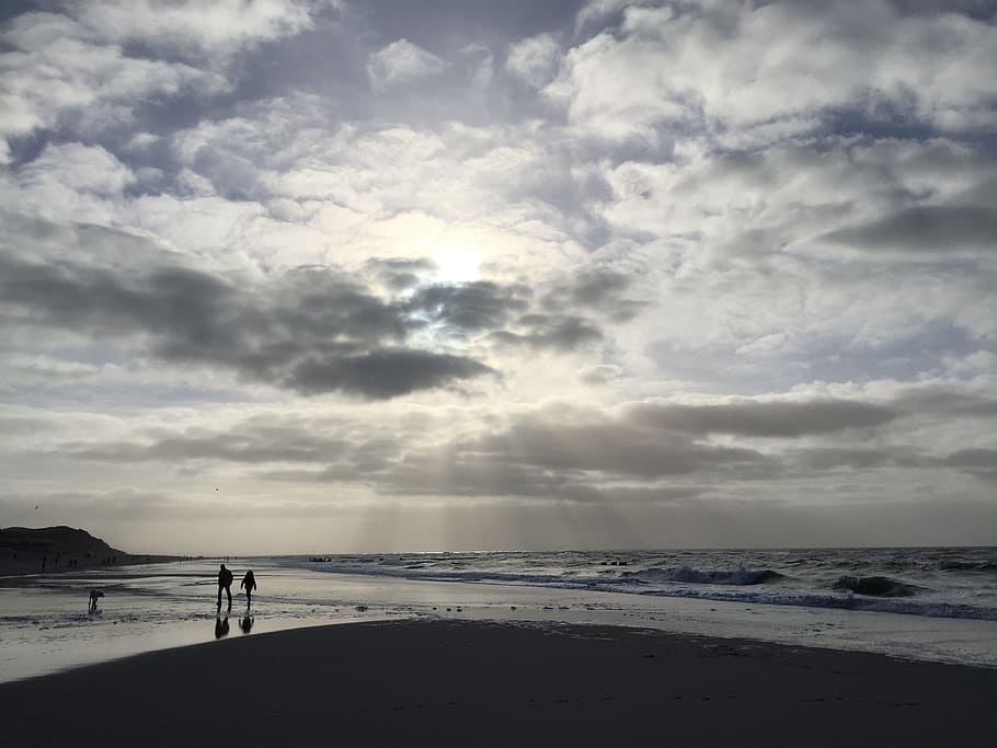 sylt, back light, winter, sun, nature, landscape, coast, northern germany HD wallpaper