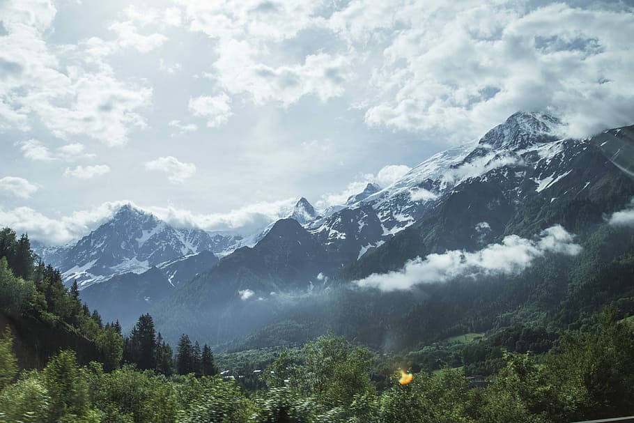 forest near mountain alps, forest in distant of snow capped mountain HD wallpaper