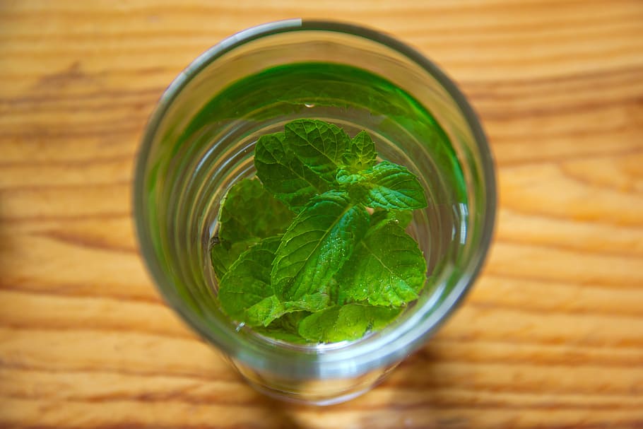 clear drinking glass with green leaf inside, mint, lemon, liquid
