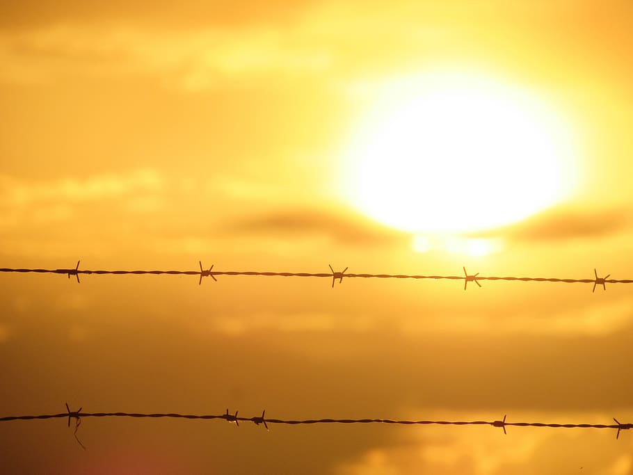 sol, landscape, light, fence, sunset, wire, barbed wire, protection HD wallpaper