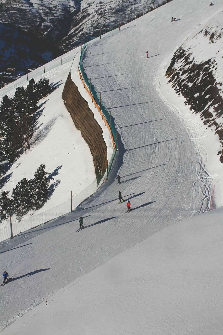 photo of people ice skating during daytime, people snow skiing near trees during daytime HD wallpaper