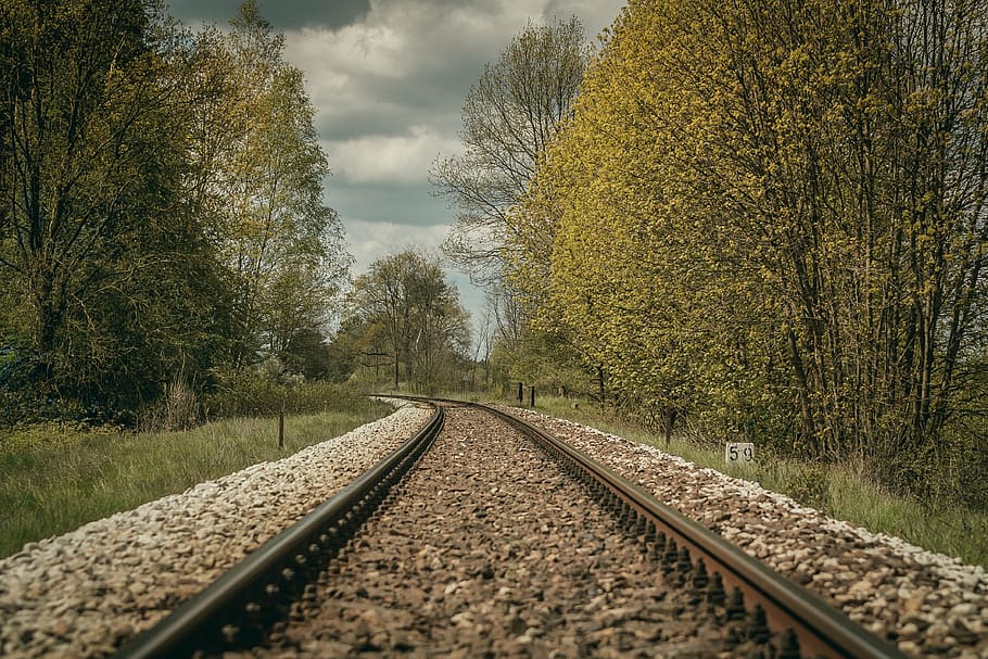 train rail surrounded by green trees, tracks, traction, transport HD wallpaper